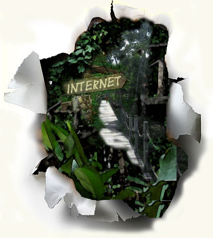Dschungel mit Weg und Internetschild
